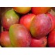 AGUACATES ECOLOGICOS 1 KG