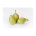 NARANJAS ECOLOGICAS 10 KG