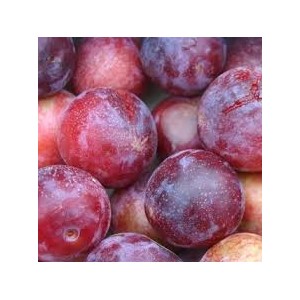 CIRUELAS PEQUE&Ntilde;AS ECO 1 KG