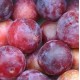 CIRUELAS ECOLOGICAS 1 KG