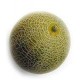 MELON GALIA  ECOLOGICO UD
